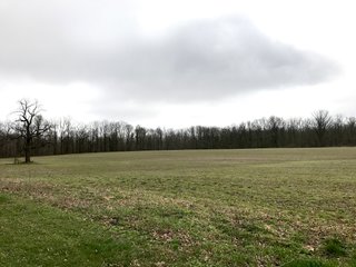 Property photo 25 - LAND AUCTION - 156.63+/- ACRES OFFERED IN 7 TRACTS IN ALLEN COUNTY, INDIANA